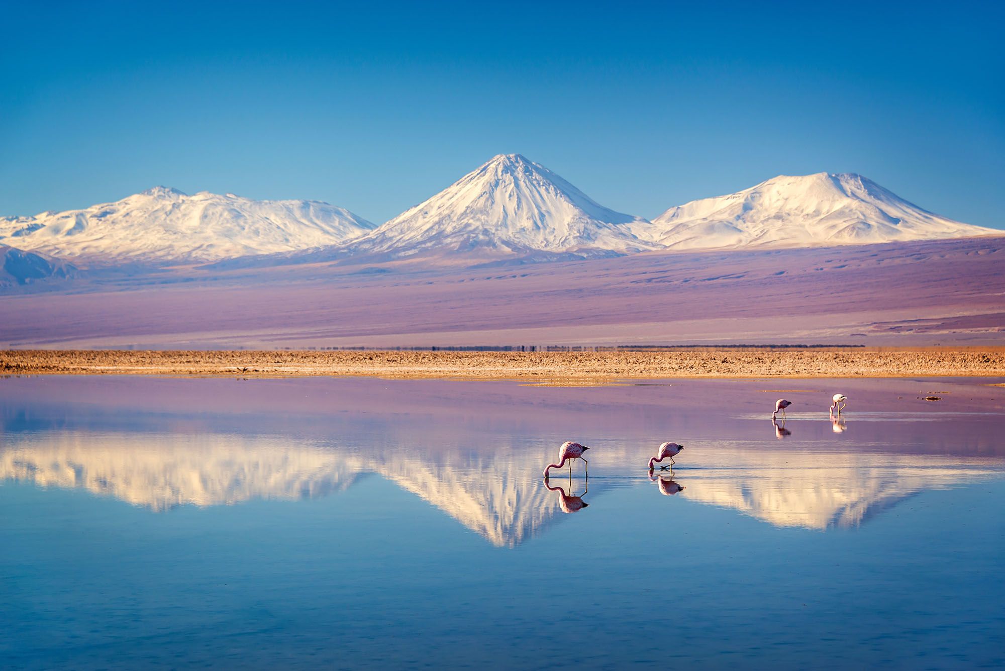 Volcan Licancabur dans les Andes, salar d'Atacama - Chili