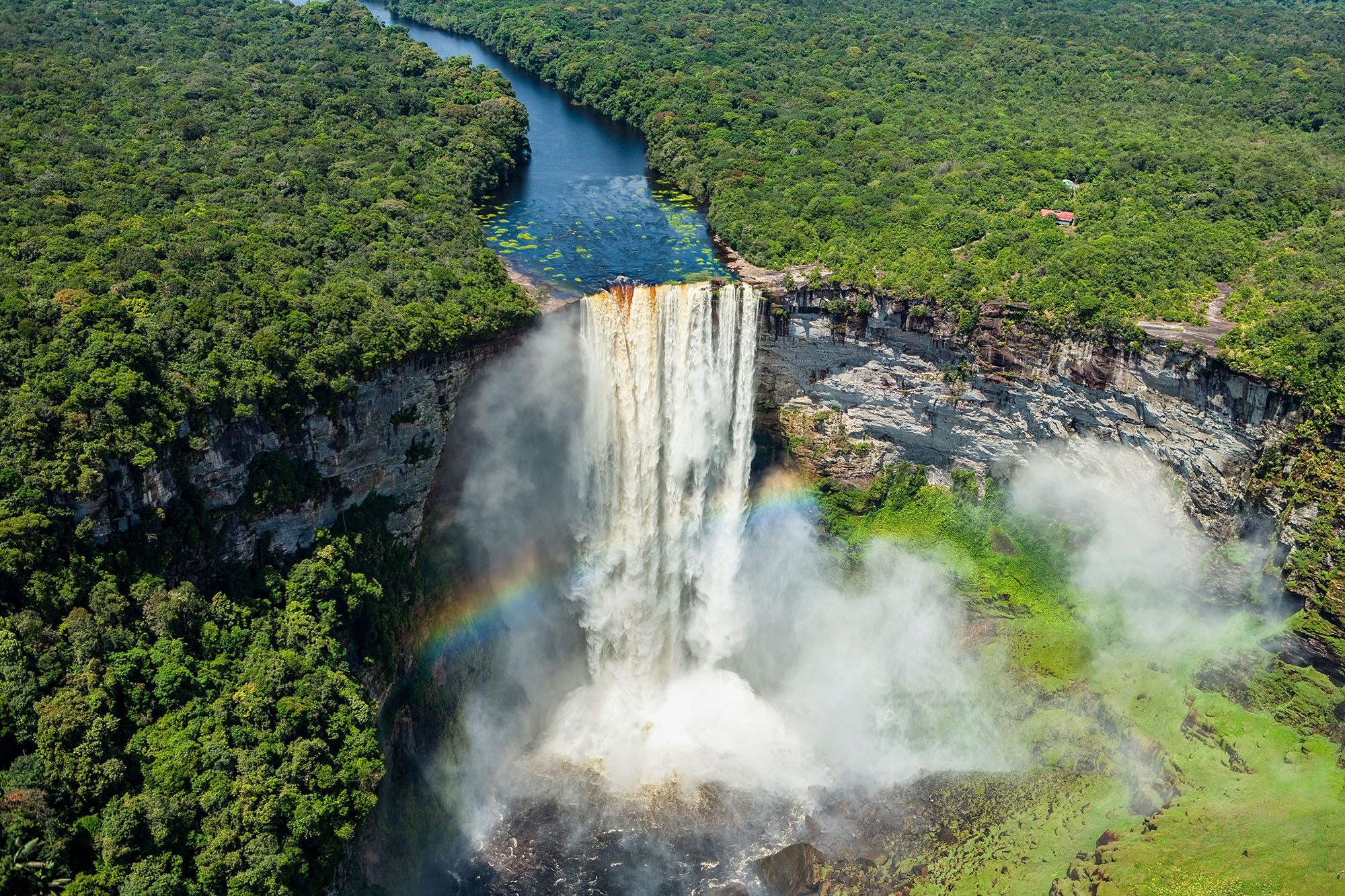 Région de la jungle des chutes de Kaieteur dans le Parc national de Kaieteur - Guyana