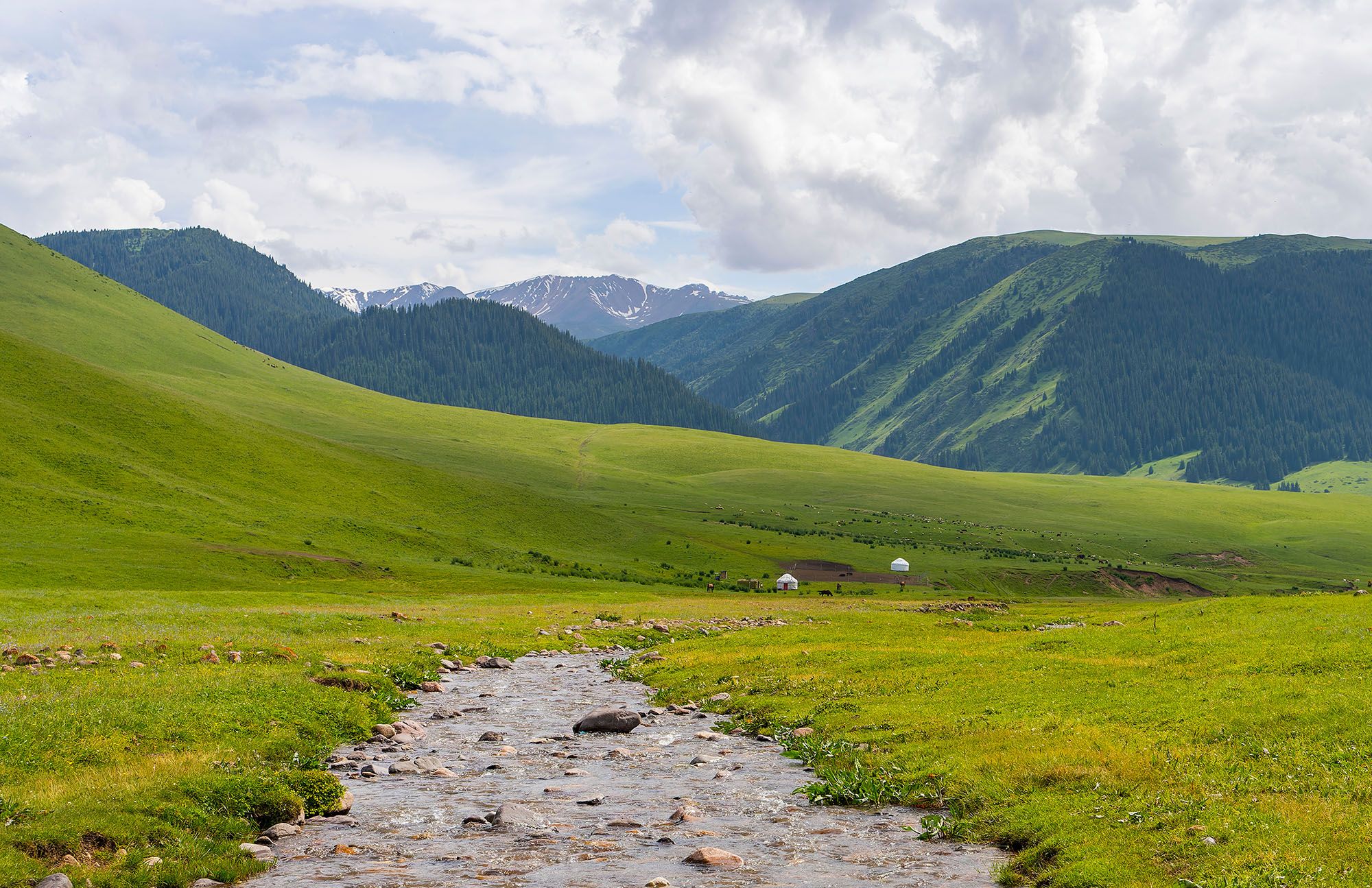 Le plateau d'Assy dans le district d'Enbekshikazakh de la région d'Amalty - Kazakhstan