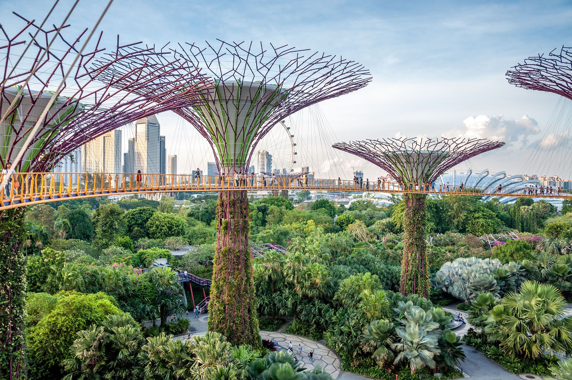 Les Gardens by the Bay (« Jardins près de la baie ») dans la Région centrale - Singapour