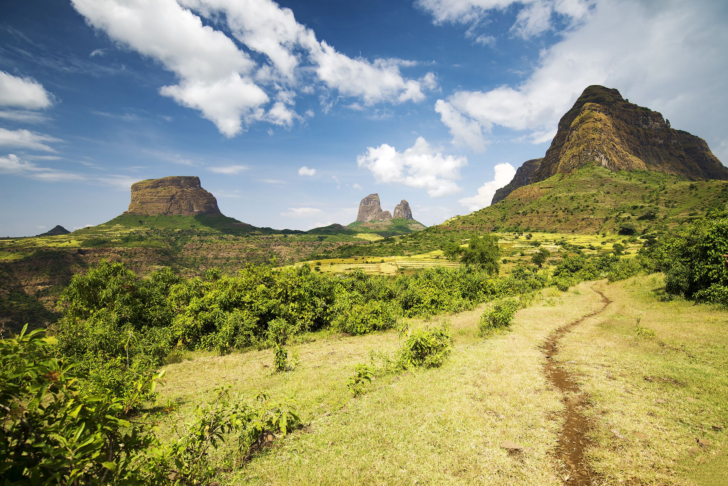 Ethiopie Parc du Simien