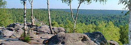 Forêt de Fontainebleau, sur les traces des peintres