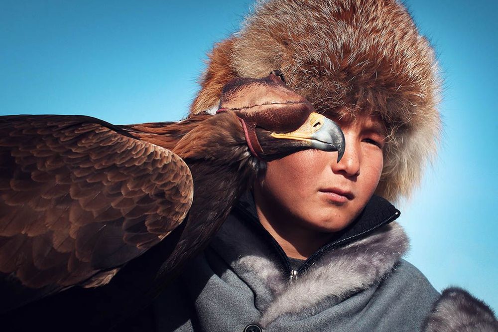 Jeune aiglier kazakh Kazakhstan