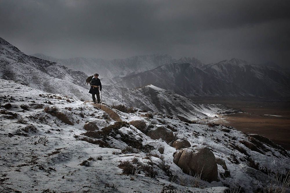 Scène de chasse à l'aigle pendant l’hiver au Kirghizistan Kazakhstan