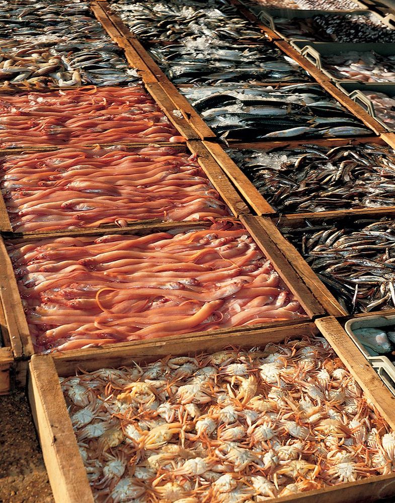 Poissons