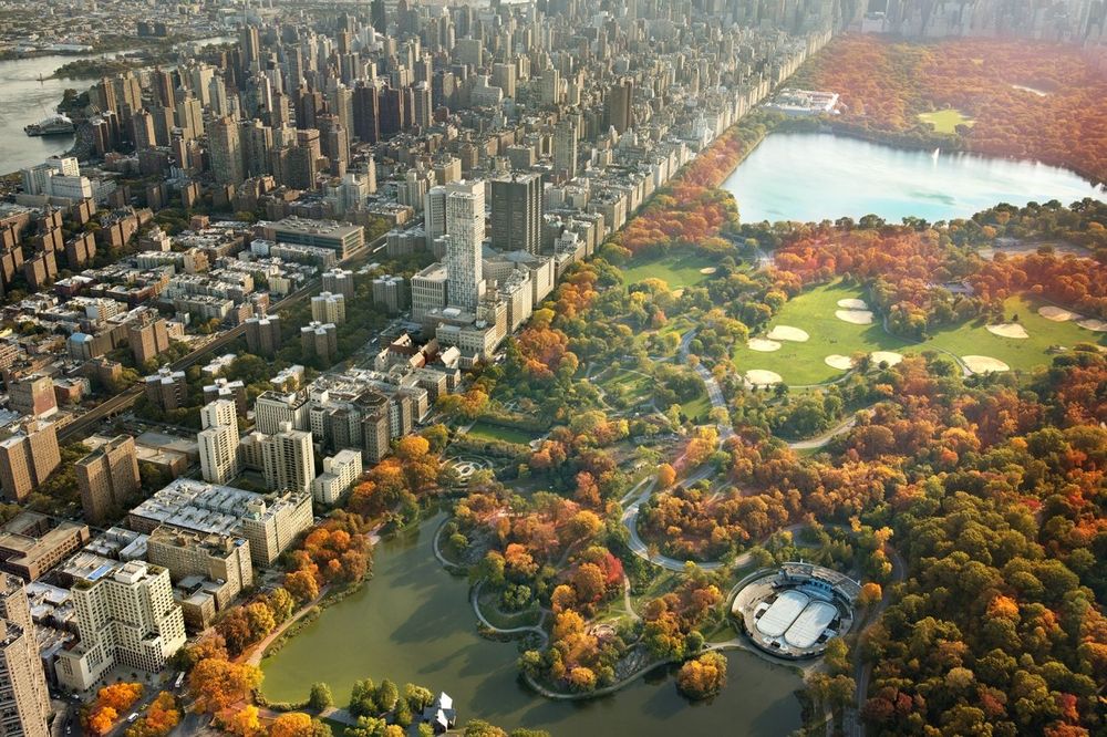 New York