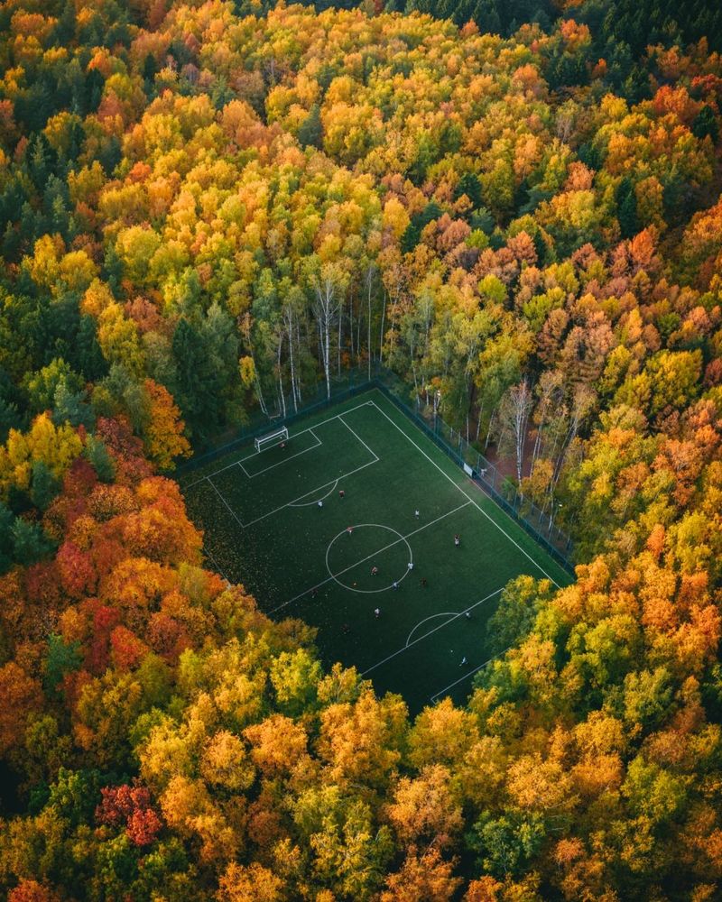 Soccer in the woods, Moscow