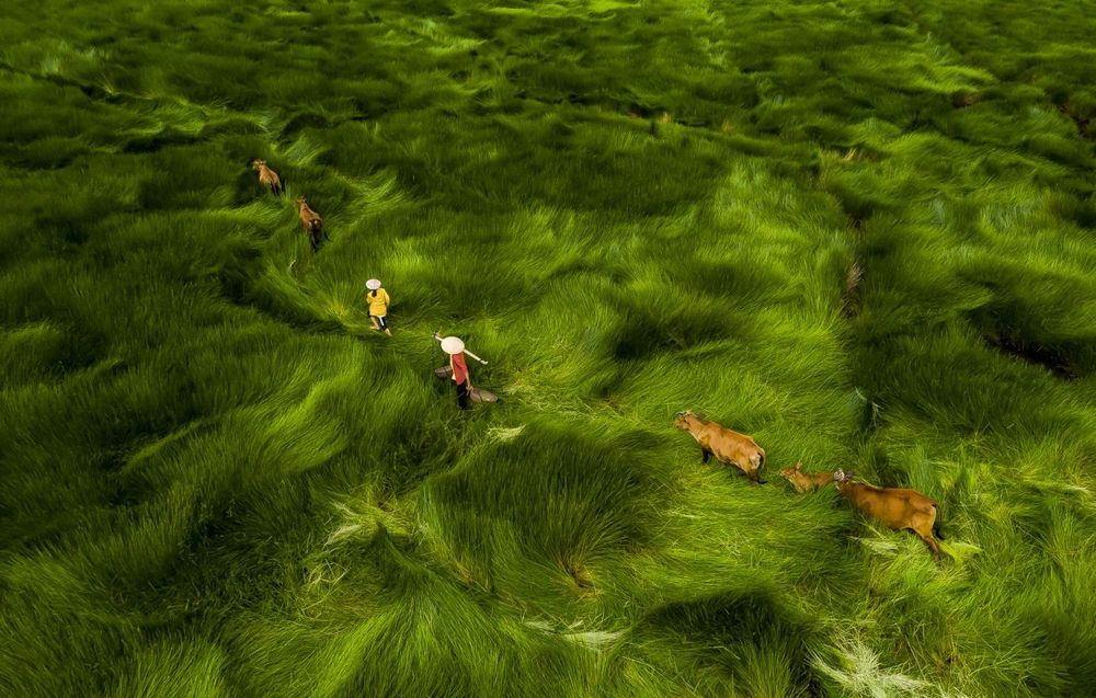 Quang Nam (Vietnam)