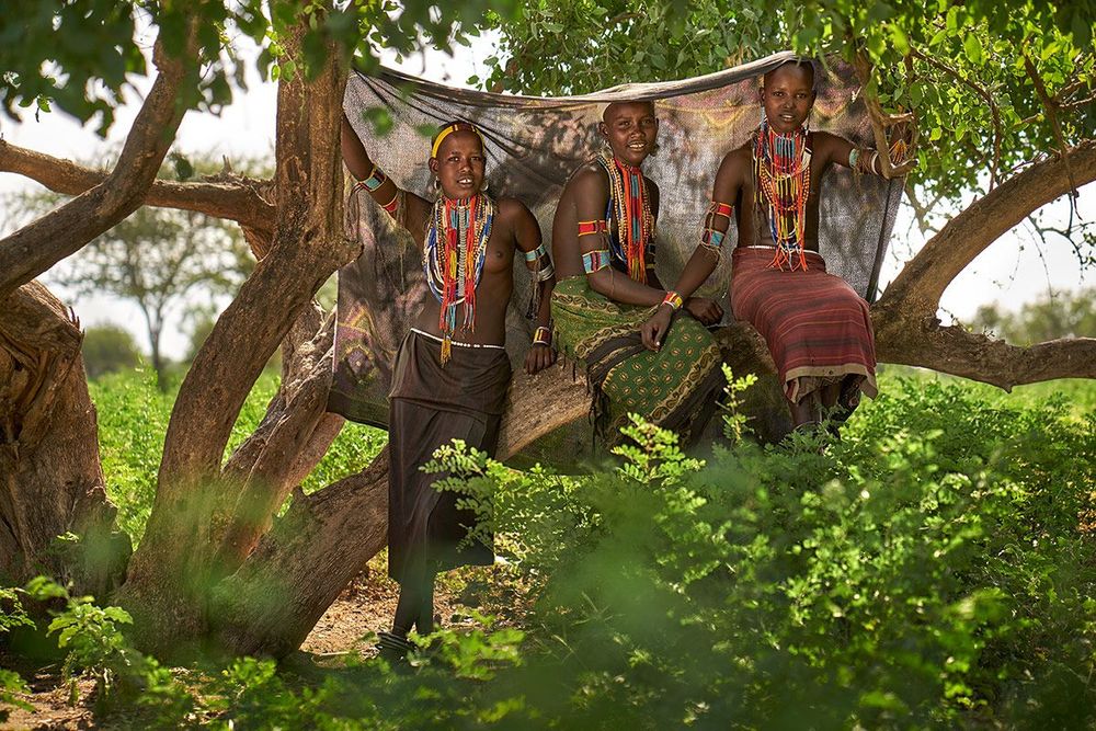 Afrique Ethiopie Vallée de l'Omo Peuple Arboré