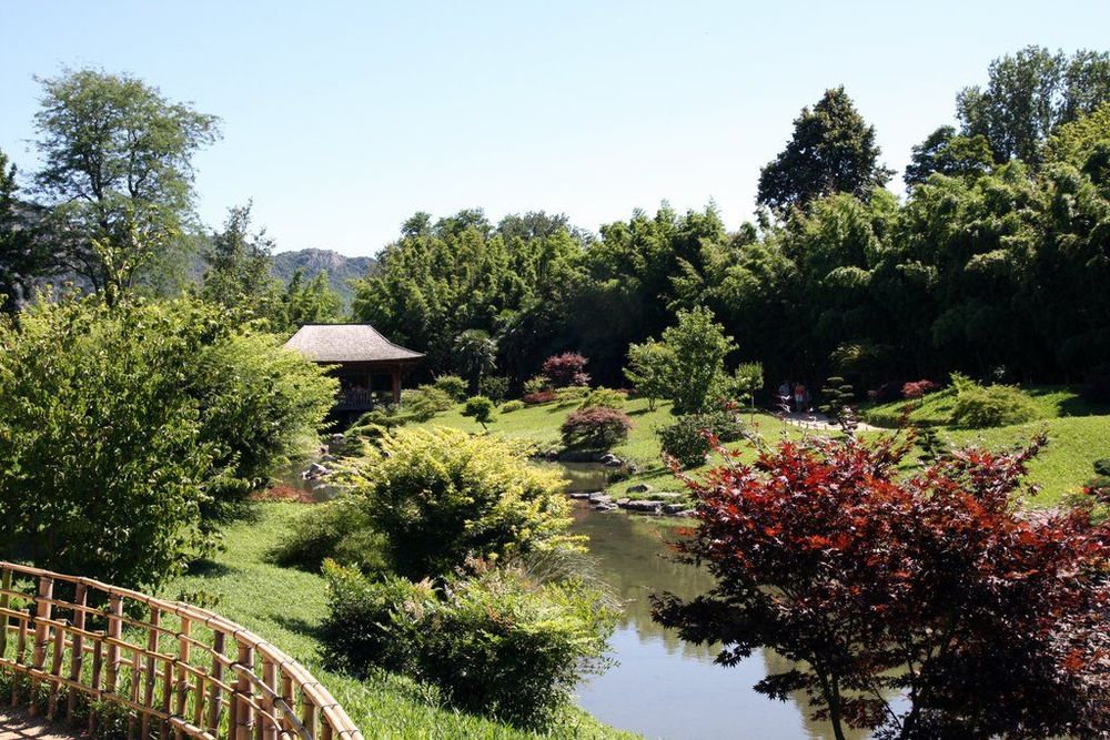 Bambouseraie Prafance Jardins