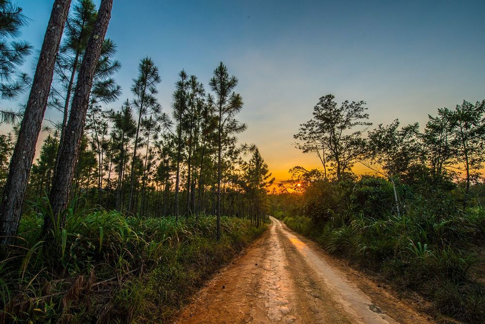 Belize Mountain Pine Ridge Reserve