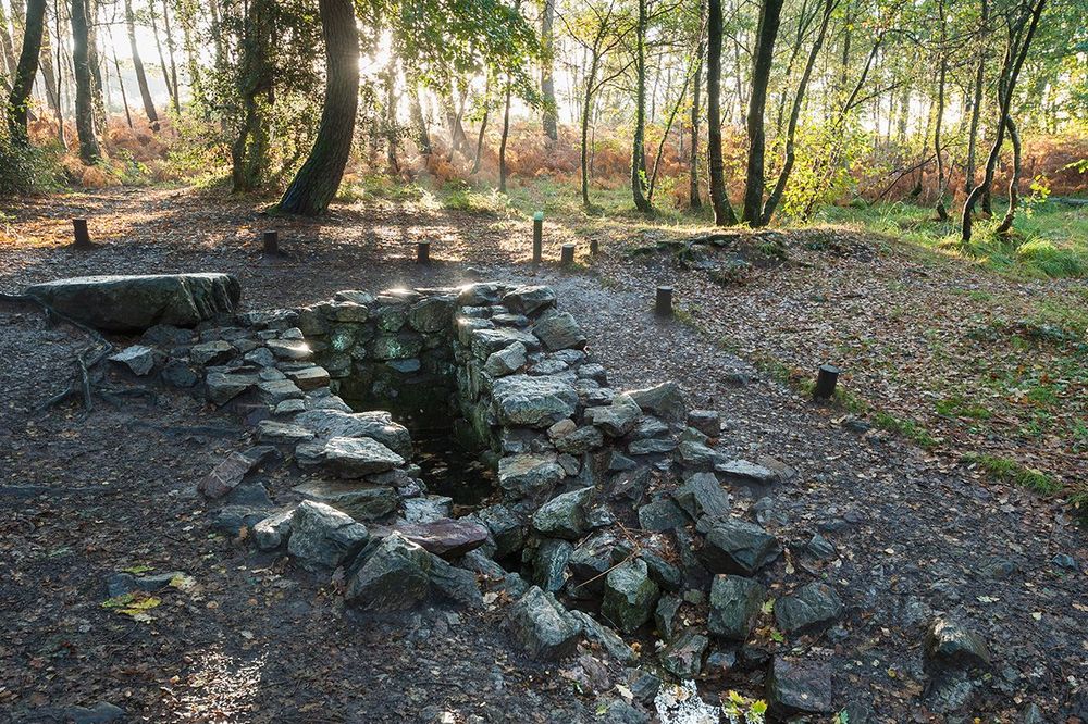 Brocéliande Fontaine de Barenton