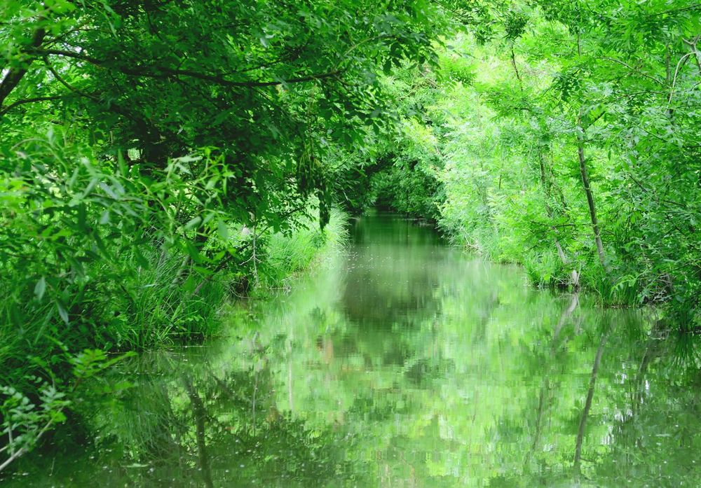 France Marais poitevin Canal Saint-Hilaire