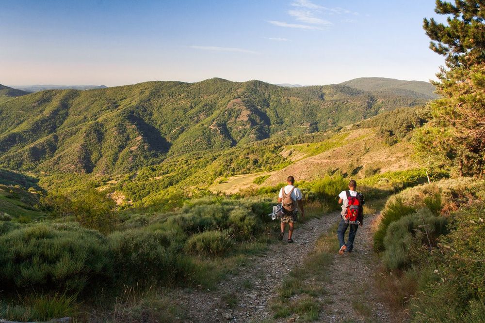 Cévennes