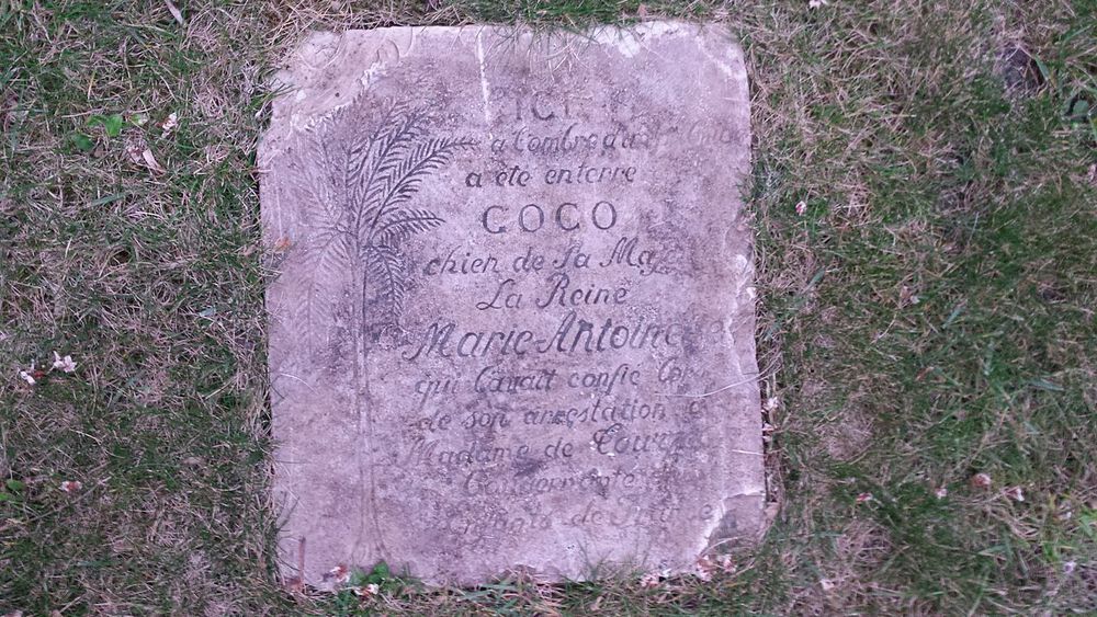 Paris Plaque commémorative chien coco
