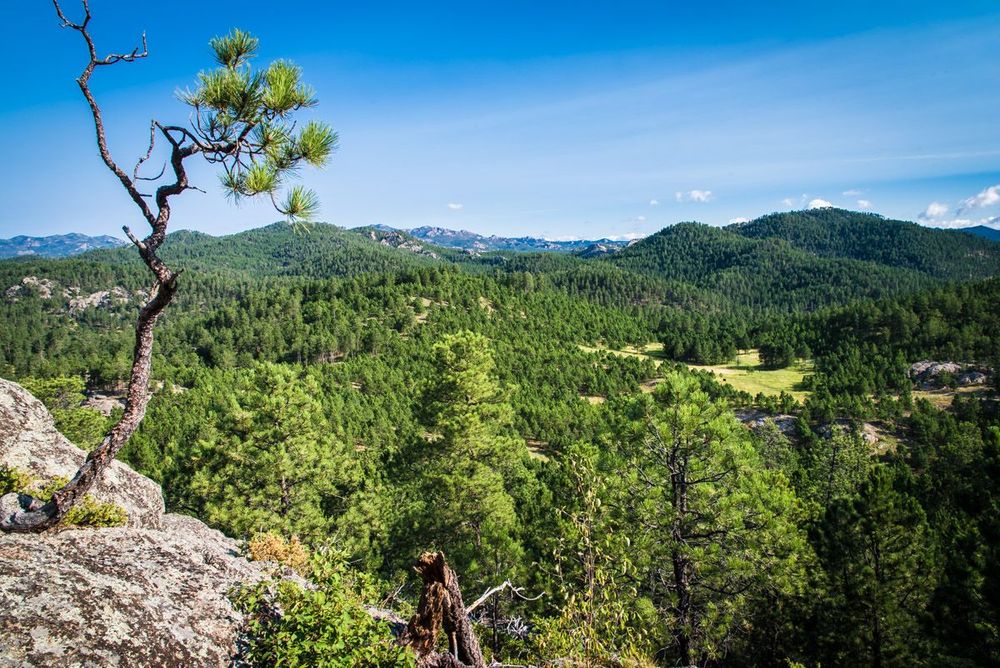Dakota du Sud Custer State Park