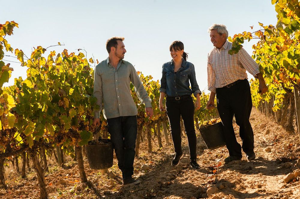 Dans les vignes de la Caves Castellroig - Sant Sadurni d'Anoia
