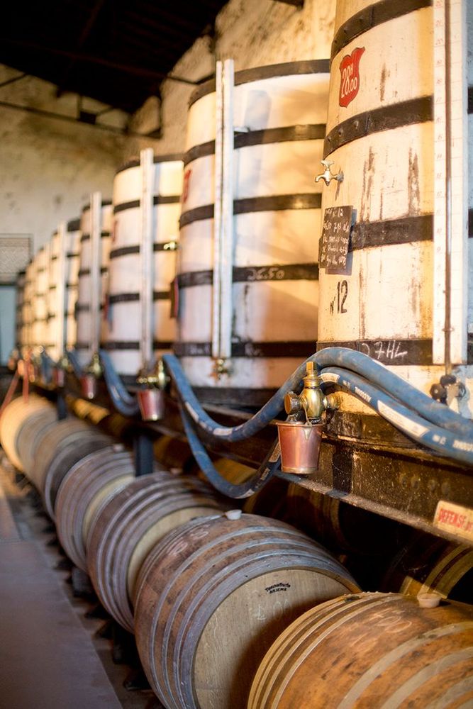 Fûts et foudres dans un chai de cognac