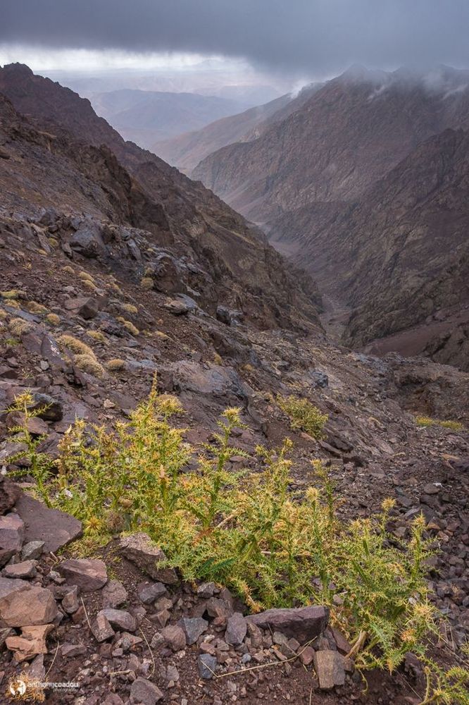 Maroc Atlas Montée au col Ouanoums