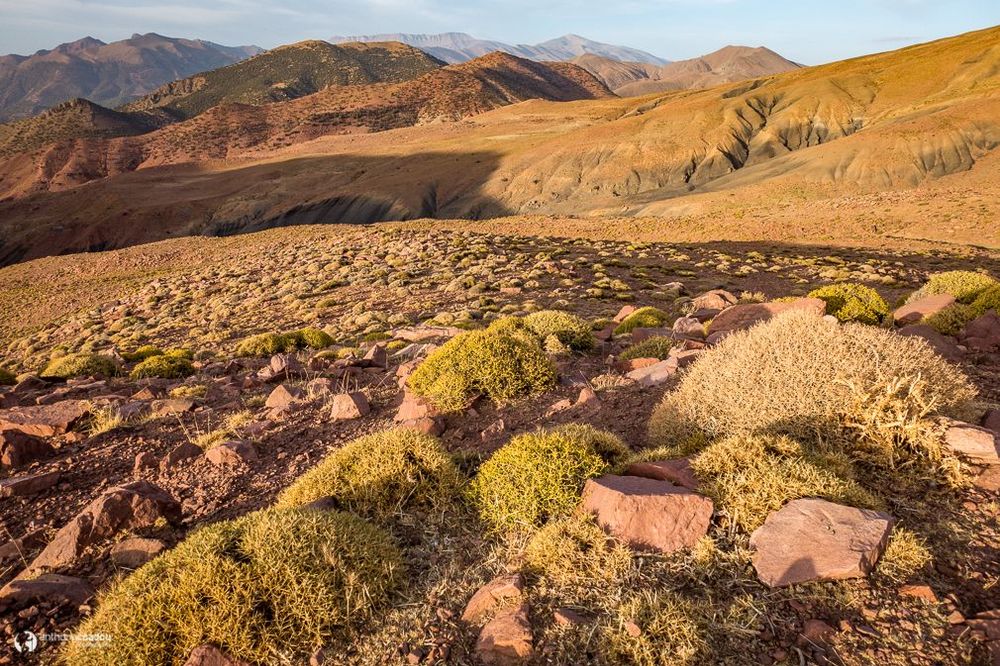 Maroc Atlas Plateau de Taoudja
