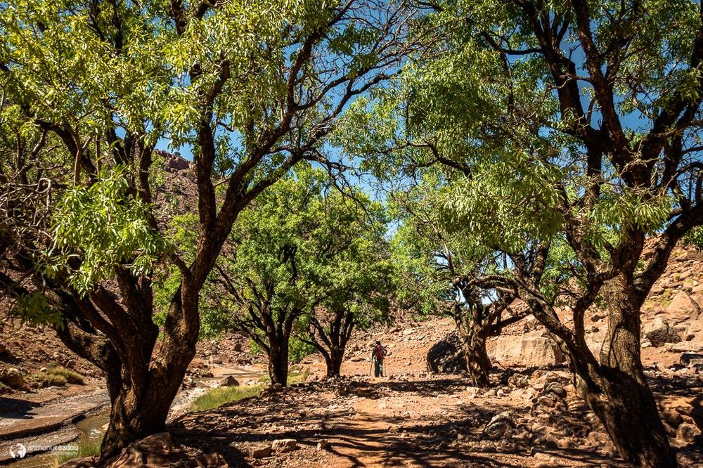 Maroc Atlas Vallée de l'Ounila