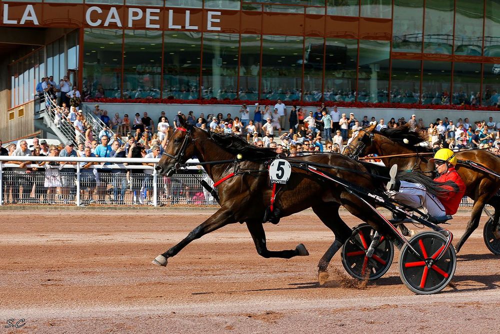 Hippodrome international de La Capelle