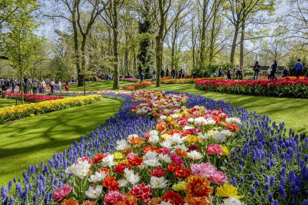 Parc du Keukenhof