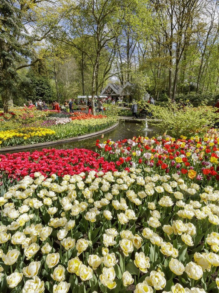 Parc du Keukenhof