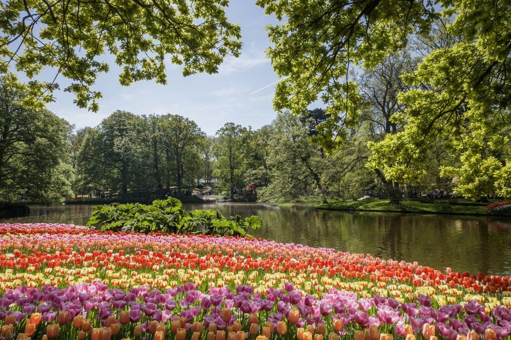Parc du Keukenhof