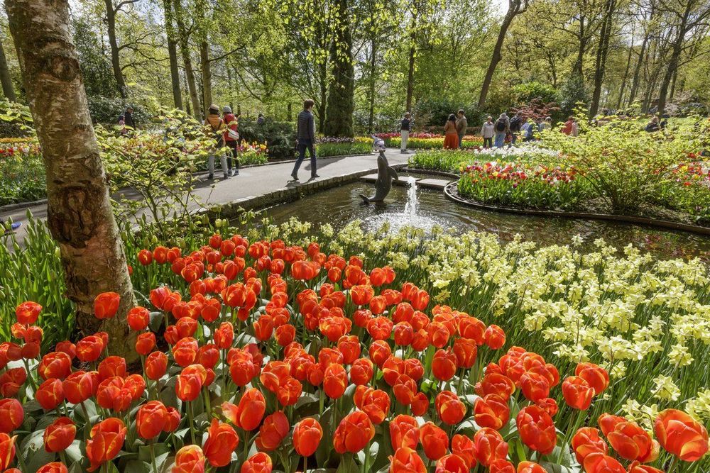 Parc du Keukenhof