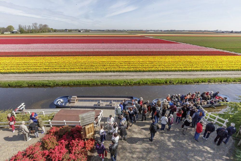 Parc du Keukenhof