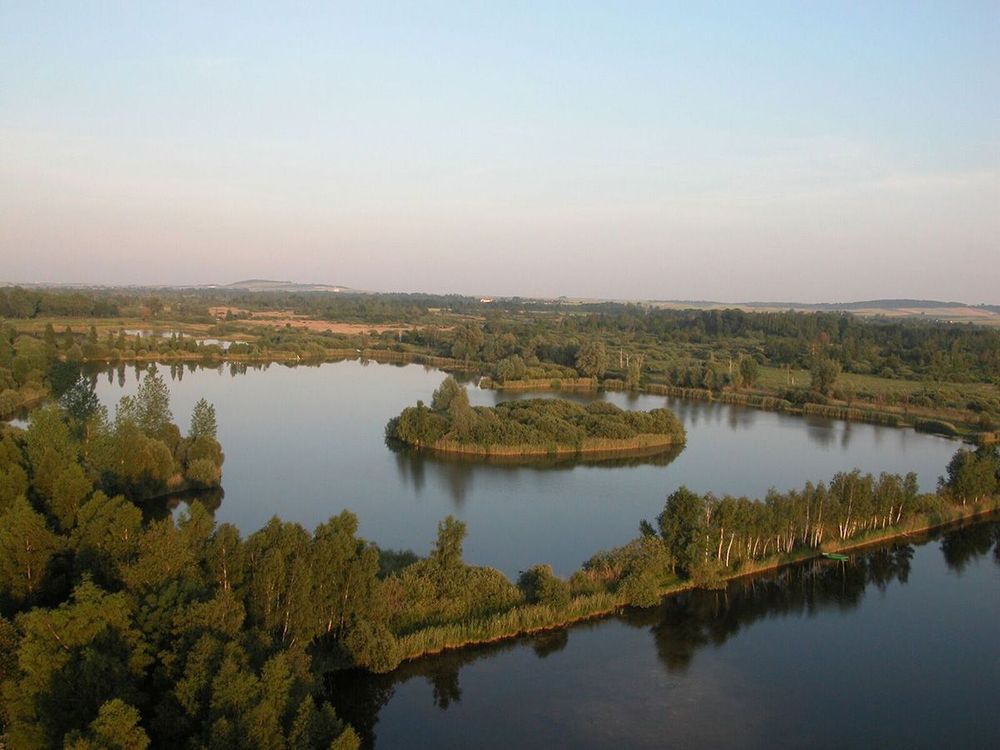 Marais de Saint Gond