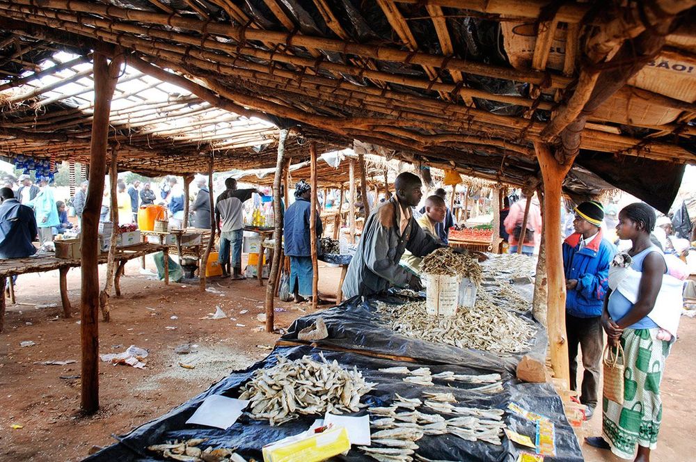 Mozambique Marché