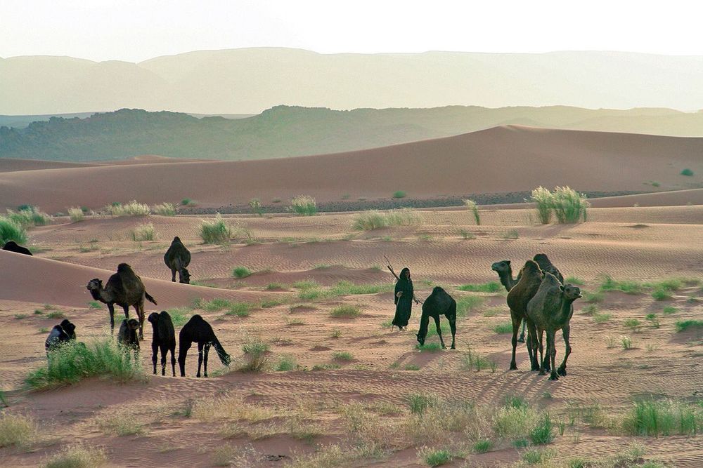 Maroc Environs de Jdaïd Nomades