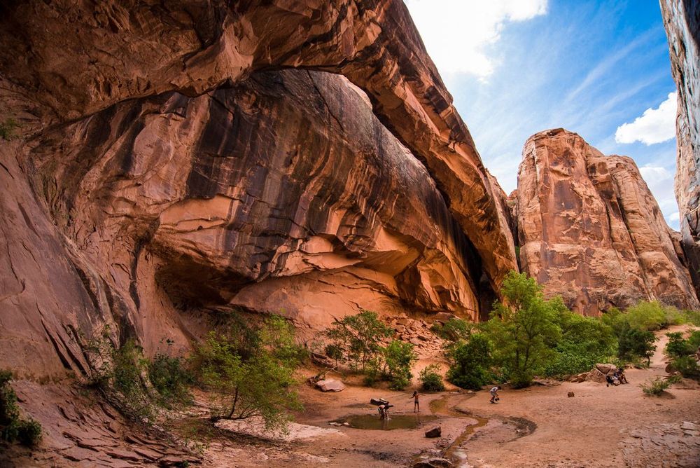 Utah Morning glory arch