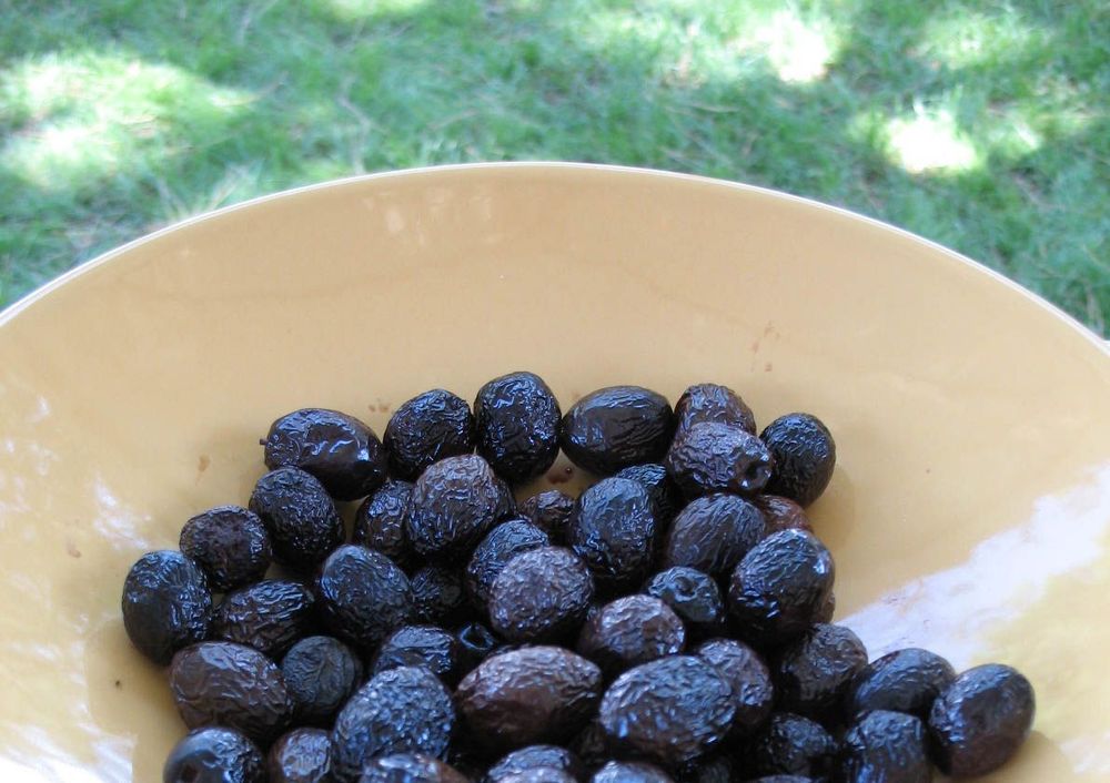 Olives Drome Gastronomie