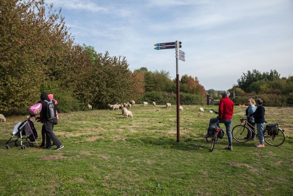 Parc de La Courneuve