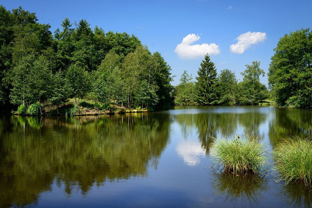 Plateau des Mille étangs