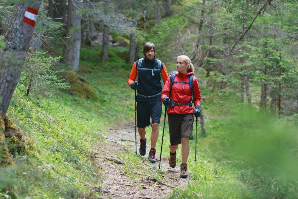 Randonnée Forêt Marcheur