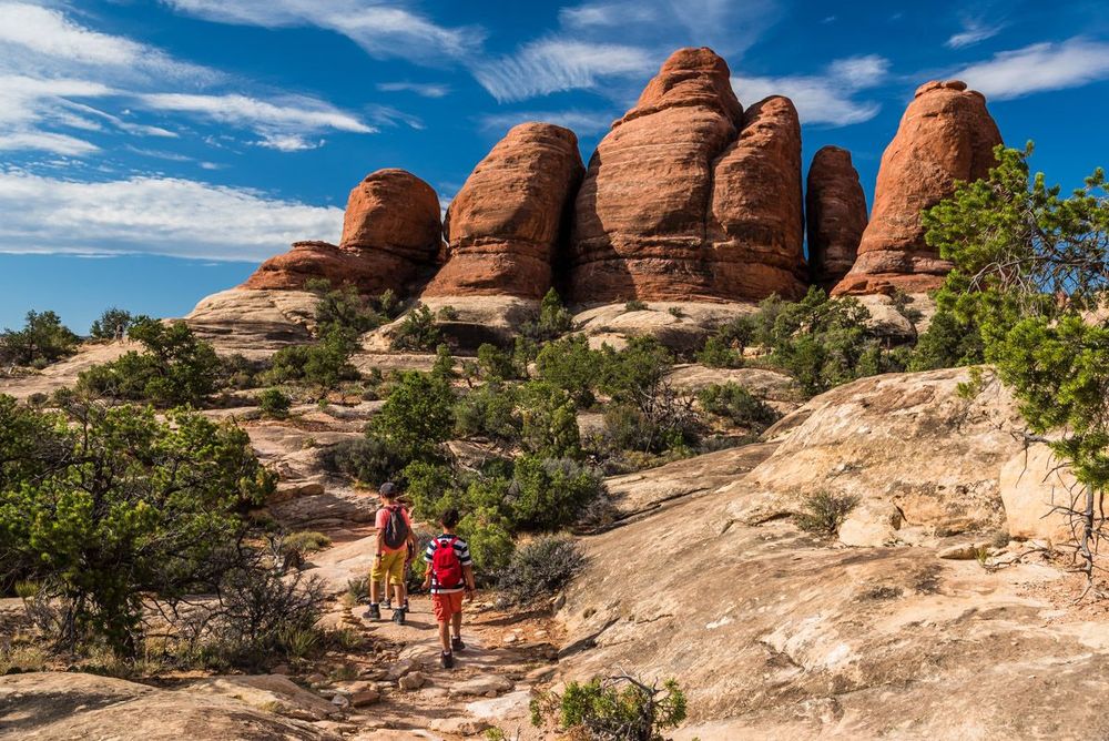 Utah Canyonlands Needles