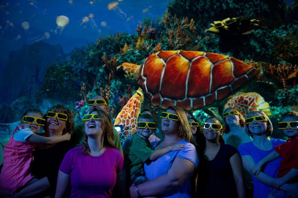 Floride Orlando Seaworld Turtle Trek