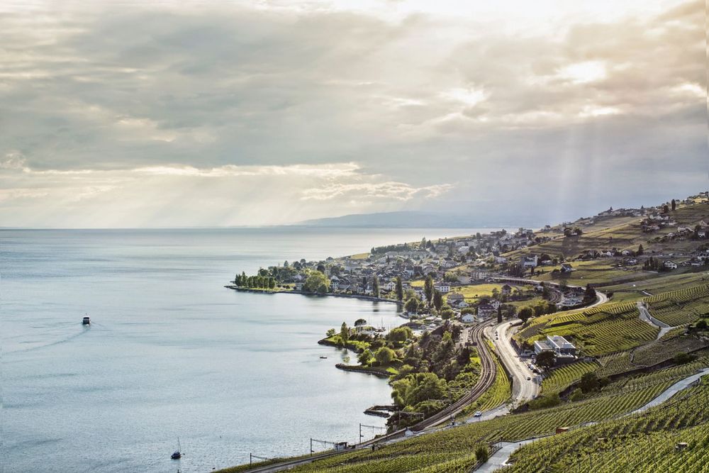 Suisse Lavaux Cully