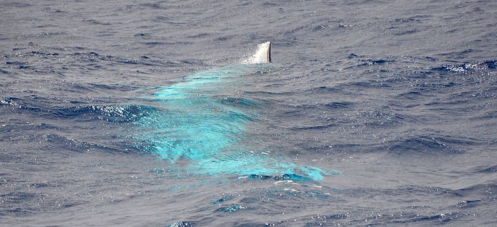 Le voyage de Maupiti en Atlantique