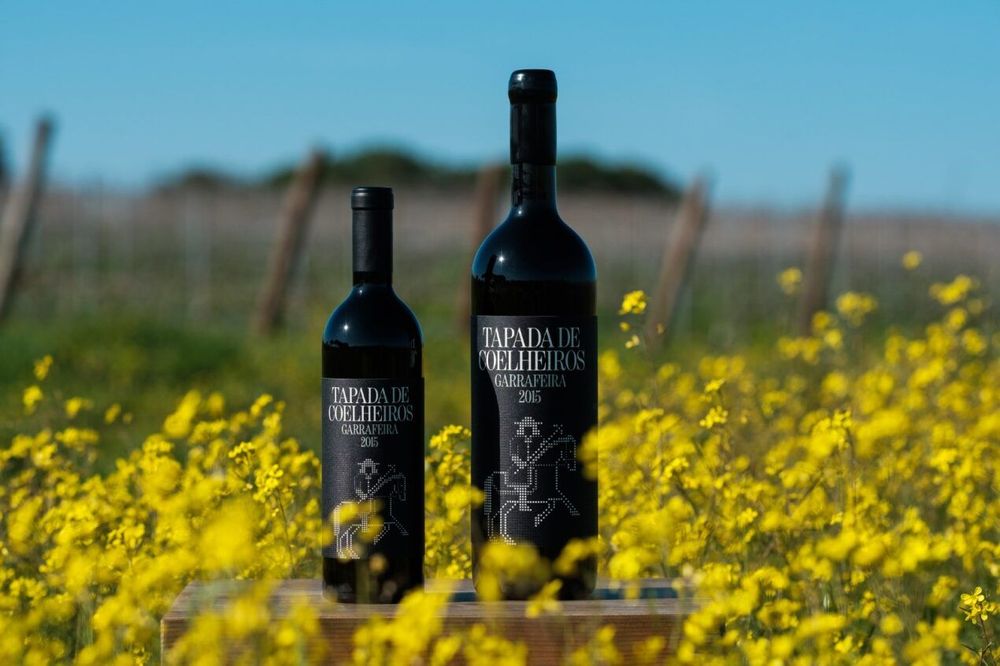 Domaine de Tapada de Coelheiros - vin