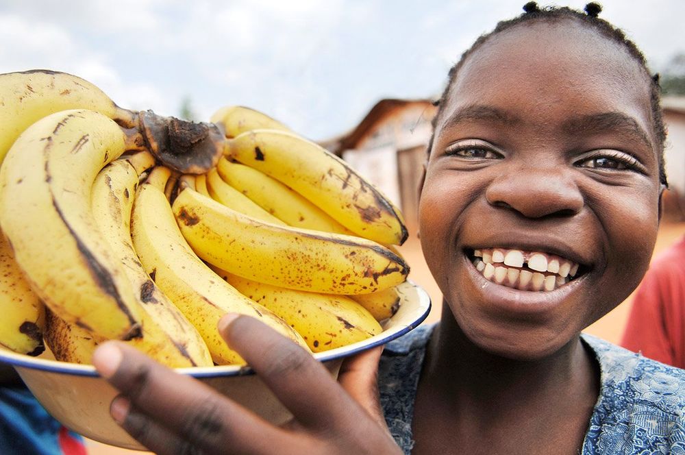 Malawi Vendeuse de bananes