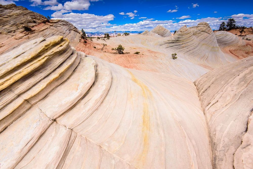 Utah White Domes