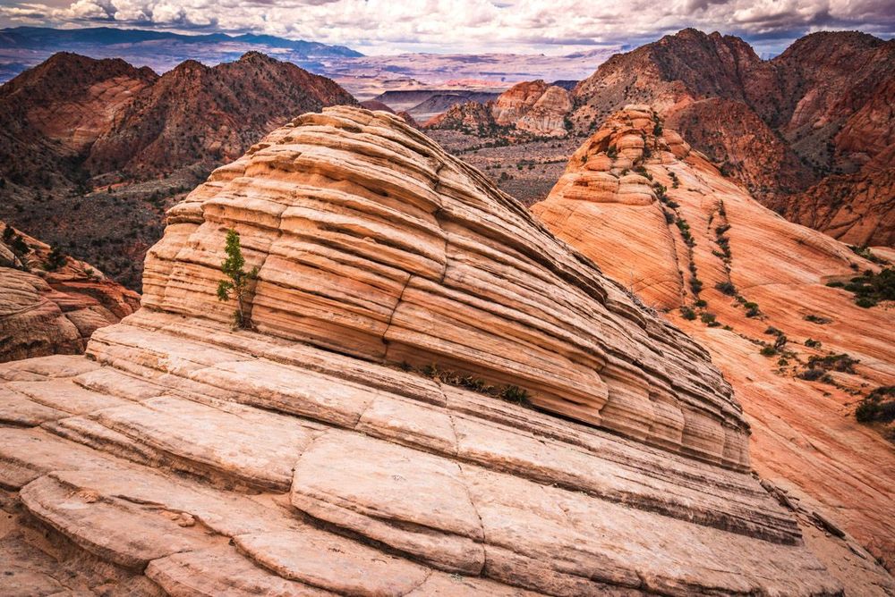 Utah Yant Flat