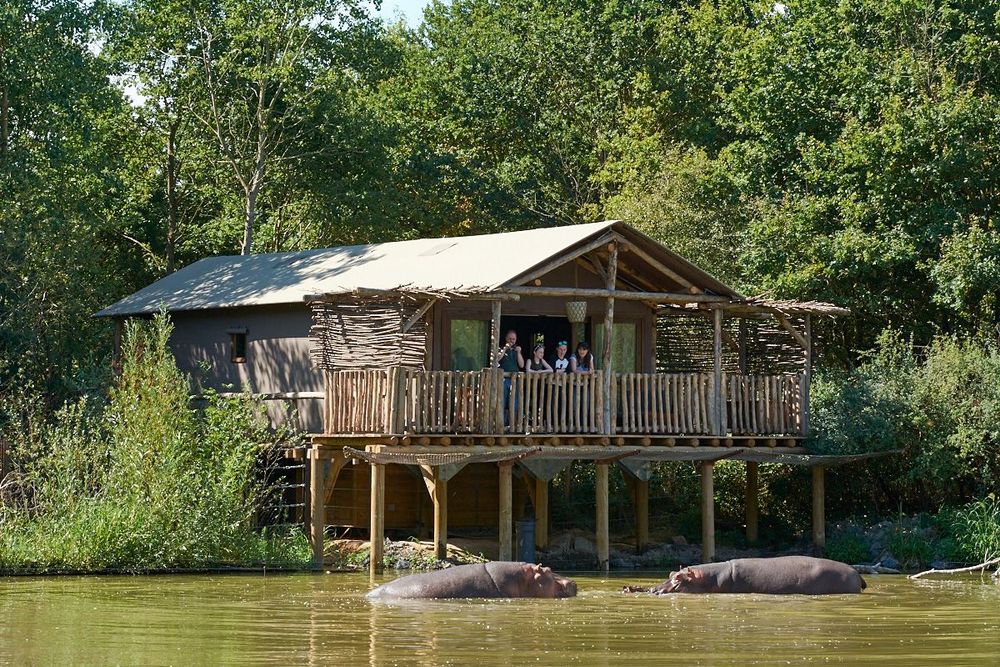 Allier Dompierre-sur-Besbre Zoo PAL