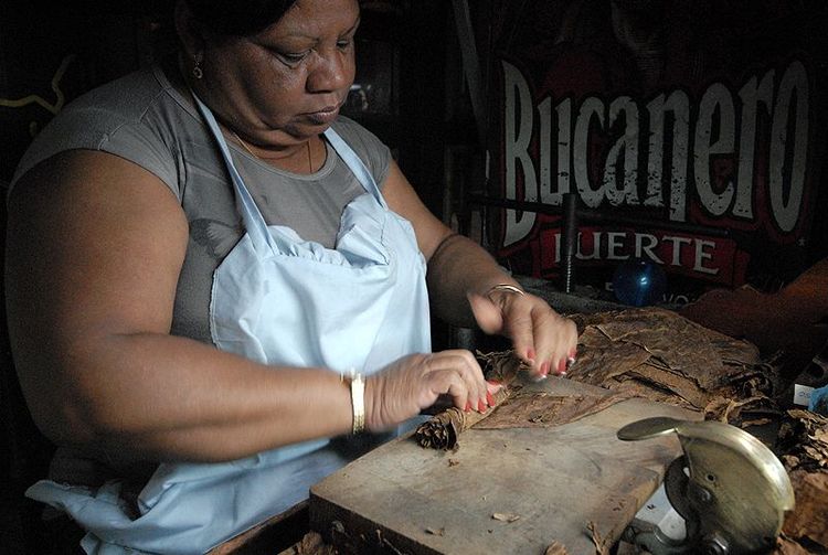 République dominicaine Santiago Fabrique de cigares