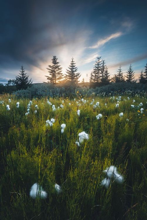 Islande